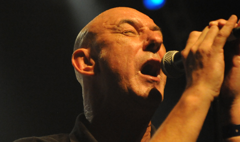 Steve Ignorant - Louder than Words